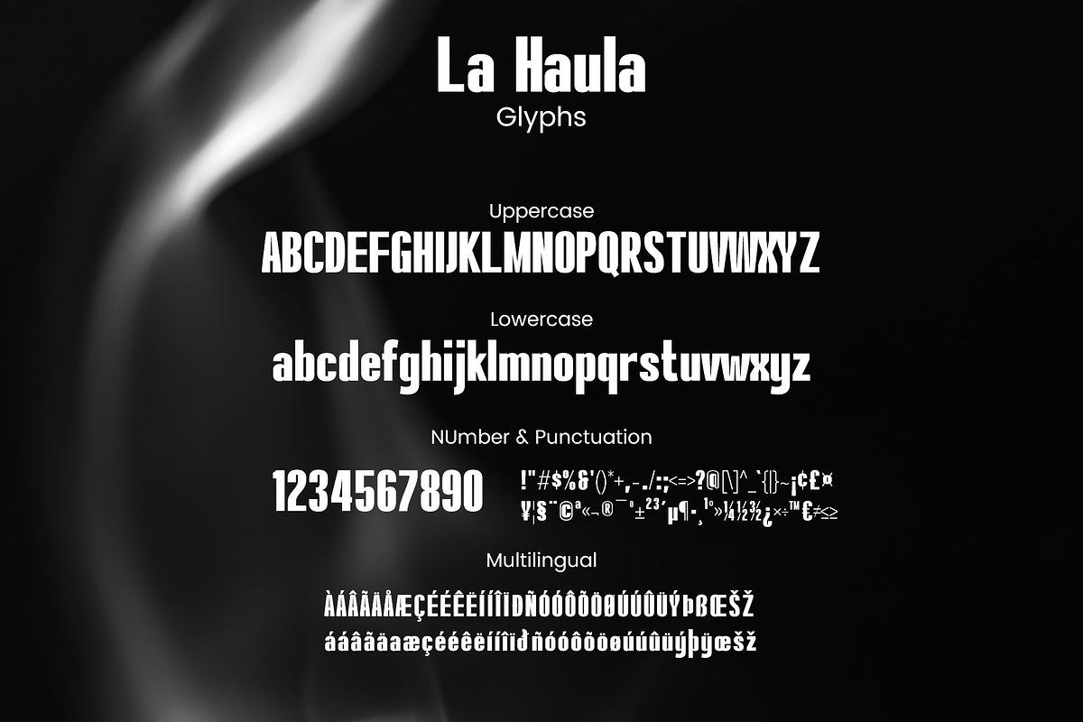 La Haula - Display Condensed Font, a Sans Serif Font by Mytype Studio (Photo 6 of 8)
