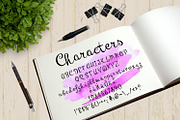 Pyktor script font, a Script Font by Digital Typeface Studio (Thumbnail 4 of 6)