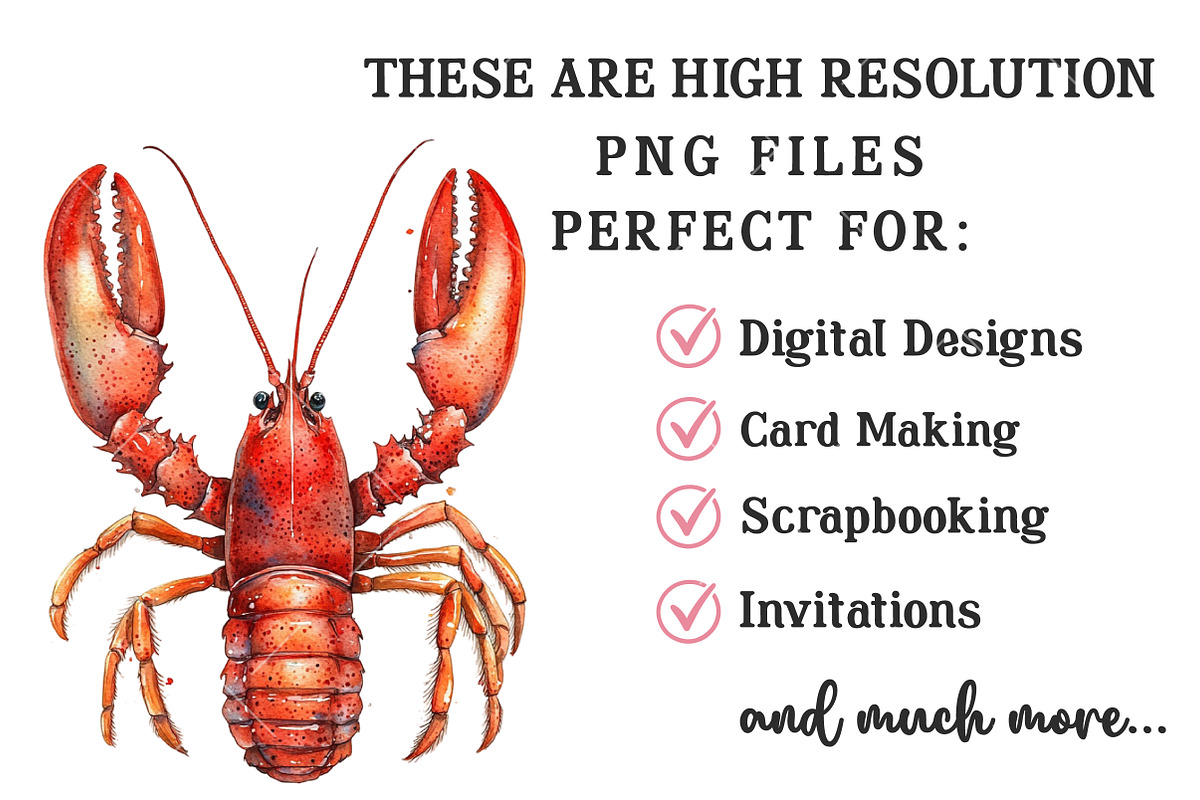 Watercolor Lobster Clipart, an Illustration by OK Design (Photo 4 of 6)