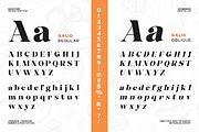 Galio Vintage Elegant Serif Display, a Serif Font by roomspace creative lab (Thumbnail 10 of 10)