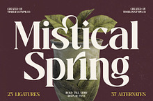 Mistical Spring - Modern Serif
