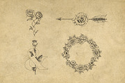 40 Vintage Floral Illustrations, an Illustration by Hatch Design Workshop (Thumbnail 9 of 15)