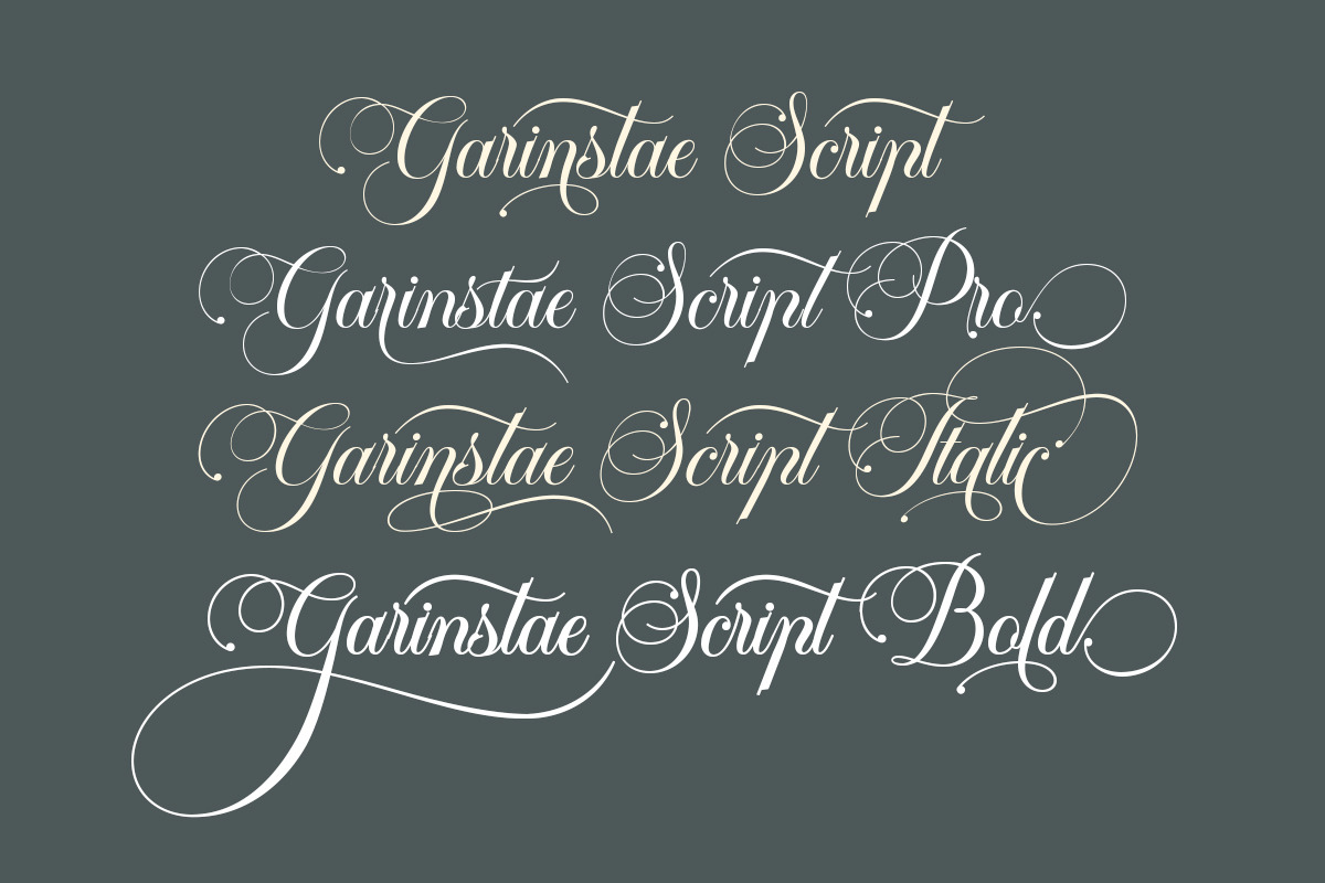 Garinstae Script, a Script Font by Pista Mova (Photo 9 of 13)