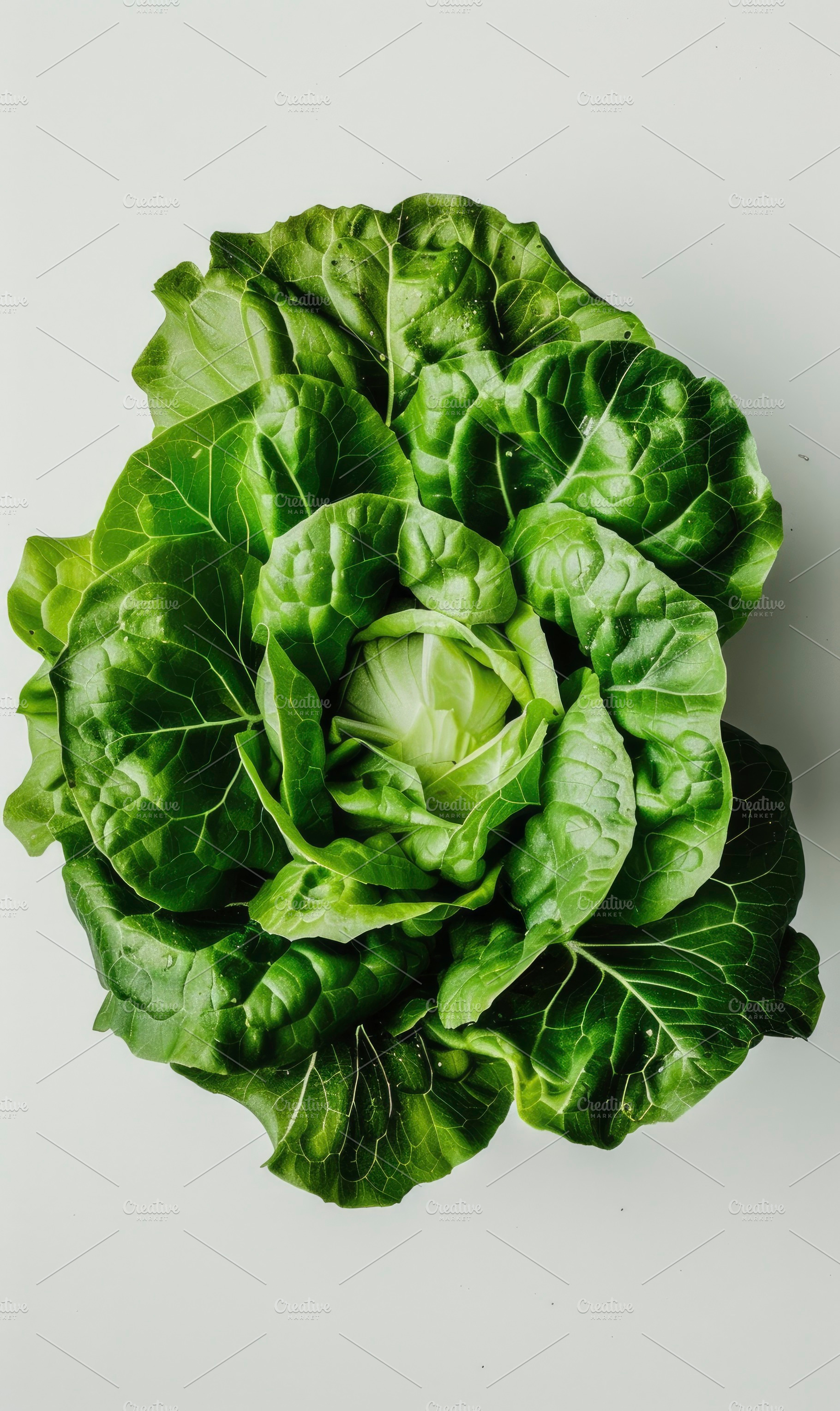 A vibrant fresh head of green lettuc, a Photo by LOGOCREATIVE