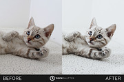 WHITE PRO Mobile & Desktop Presets, an Action Add-On by RockShutter (Thumbnail 4 of 10)