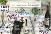 Hand Painted Insect Set, an Education Illustration by The Curio Cabinet (Thumbnail 2 of 7)