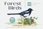 Forest Birds Watercolor Set, an Animal Illustration by AnitaPol (Thumbnail 1 of 26)