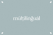 hawk sight - vintage serif, a Serif Font by Mikhail Fukurou (Thumbnail 8 of 8)