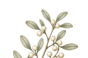 ETARA Vintage Holiday Studio, an Object Graphic by ETARA by Mea Hau (Thumbnail 26 of 94)