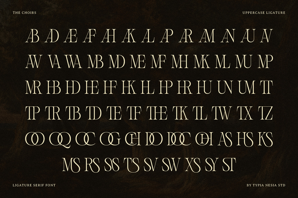 The Choirs - Beauty Elegant Ligature, a Serif Font by Typia Nesia (Photo 15 of 16)
