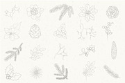 Winter collection botanical elements, a Decorative Illustration by itiir (Thumbnail 2 of 2)