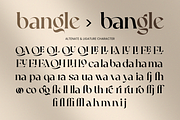 Quela A Serif that Speaks Timeless, a Serif Font by Annivers Type (Thumbnail 9 of 10)