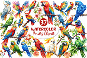 Parrots Watercolor Clipart,, an Illustration by Dream Creation (Thumbnail 1 of 7)