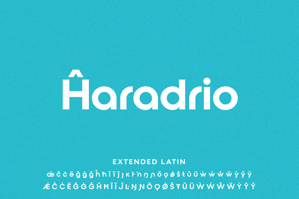 Qualy Logo Font, a Sans Serif Font by Shina Design (Photo 7 of 8)