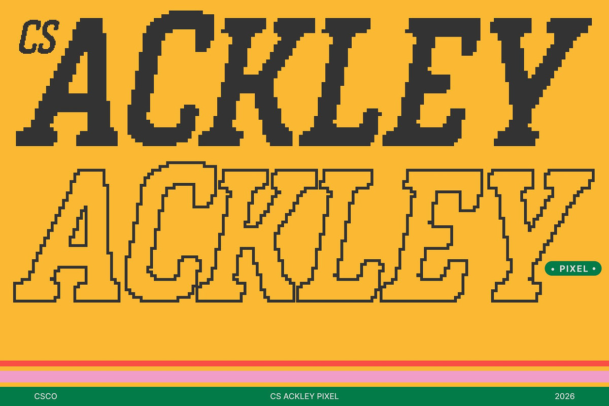 CS Ackley Pixel, a Slab Serif Font by Craft Supply Co. (Photo 1 of 8)