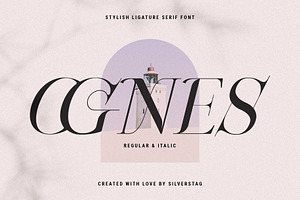 Chic & Elegant Serif Font Bundle