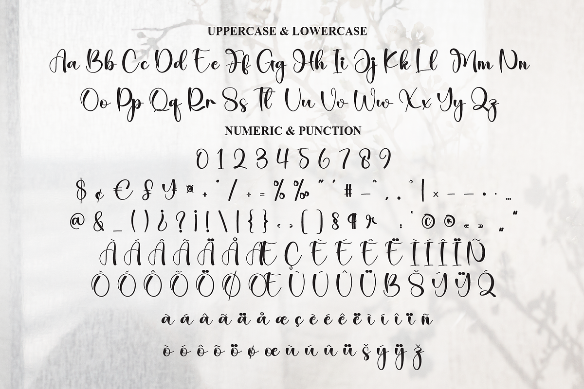 Delightful | Script Font, a Handwritten Font by Scratchones (Photo 7 of 8)