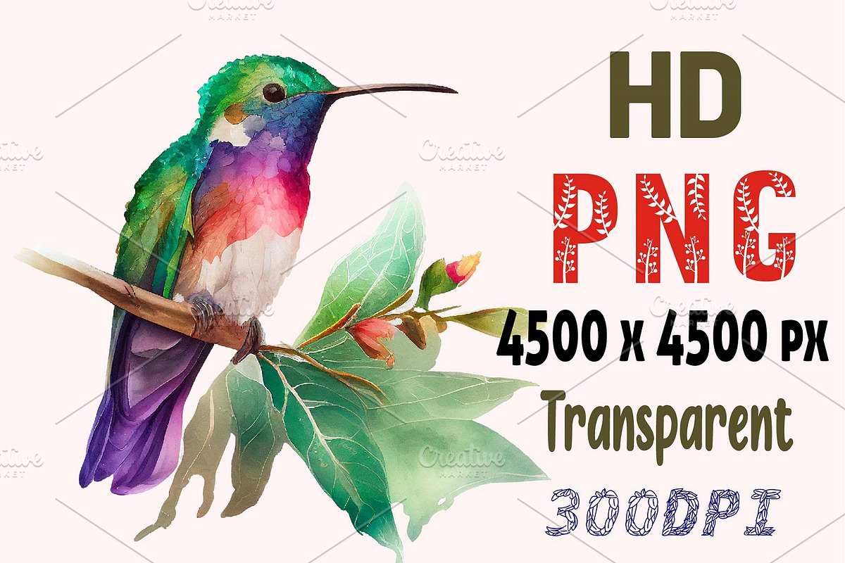 Watercolor Hummingbirds PNG Clipart, a Decorative Illustration by ARTify Illustrations (Photo 2 of 6)