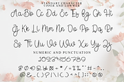 Vanilla Starfruit, a Handwritten Font by FreshTypeINK (Thumbnail 2 of 8)