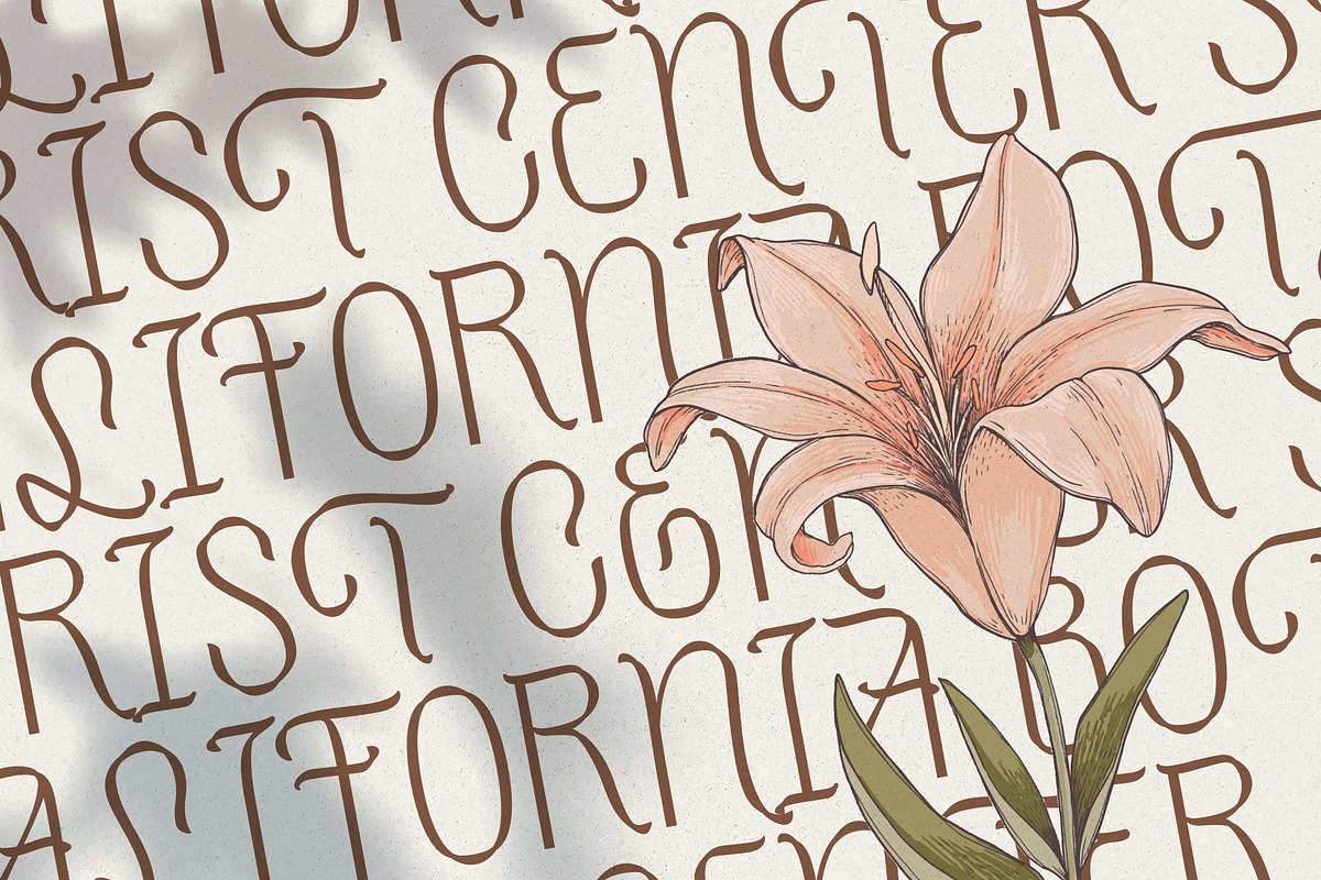 Sharon Elany, a Sans Serif Font by Get Studio (Photo 5 of 27)