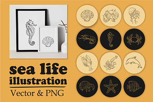 Sea Life - SVG, Vector , & PNG