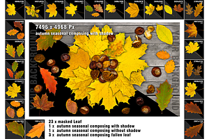 Autumn Seasonal Leaf Overlays