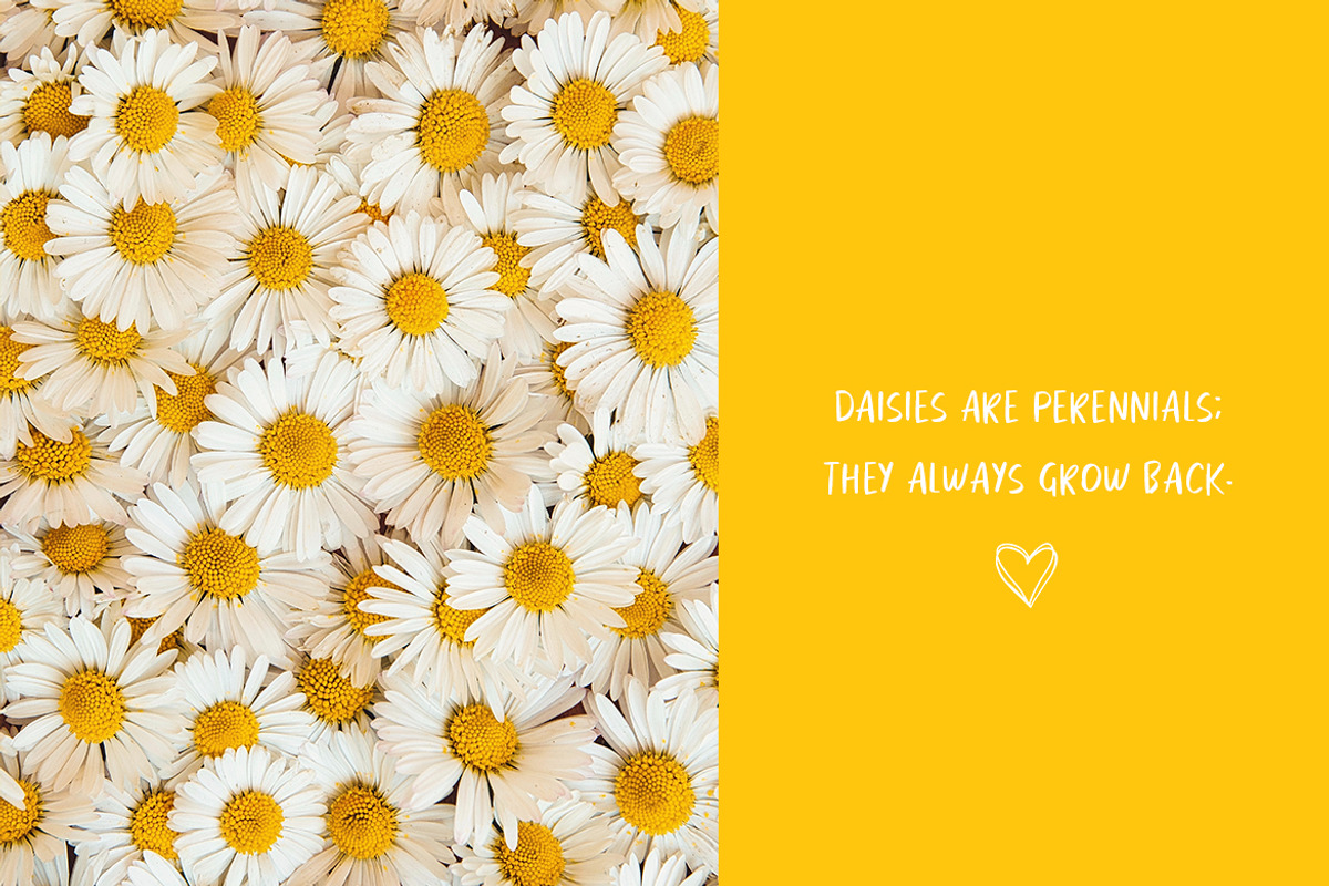 Thanks For The Love Font, a Sans Serif Font by Lollipop Hand Drawn (Photo 2 of 4)