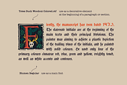 Totes Buch Gothic Woodcut Initials, a Blackletter Font by kaer_shop (Thumbnail 5 of 12)