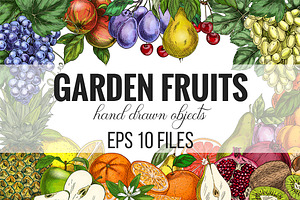 Garden Fruits, vector collection