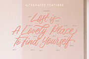 Thousand Brights - Script Font, a Script Font by Letterhend Studio (Thumbnail 3 of 9)