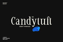 ED Candytuft