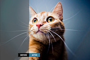 1000+ Lightroom Preset Bundle, an Action Add-On by pmvch (Thumbnail 11 of 12)