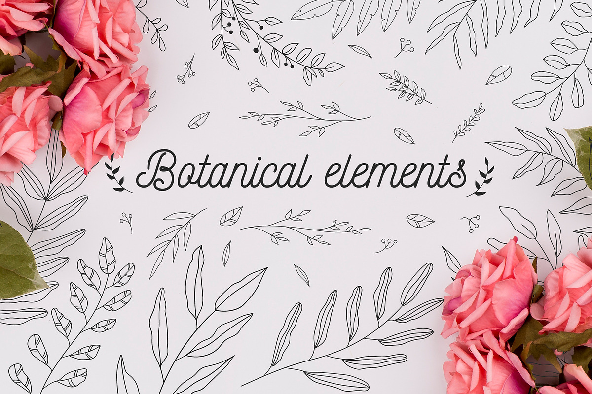 110 Hand-drawn botanical elements, a Decorative Illustration by Wander Designs (Photo 1 of 8)