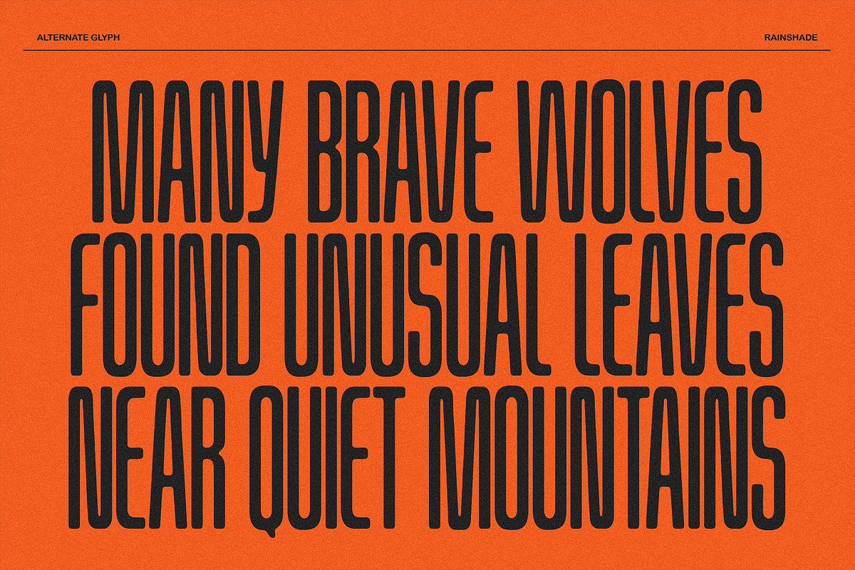 Rainshade - Condensed Display Font, a Sans Serif Font by Typeparties (Photo 7 of 12)