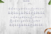 Chalisha Modern Calligraphy, a Script Font by Teweka (Thumbnail 11 of 12)