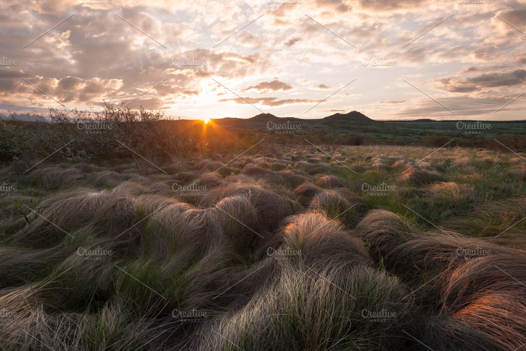 Landscape with old grass in prairie, a Nature Photo by firewings