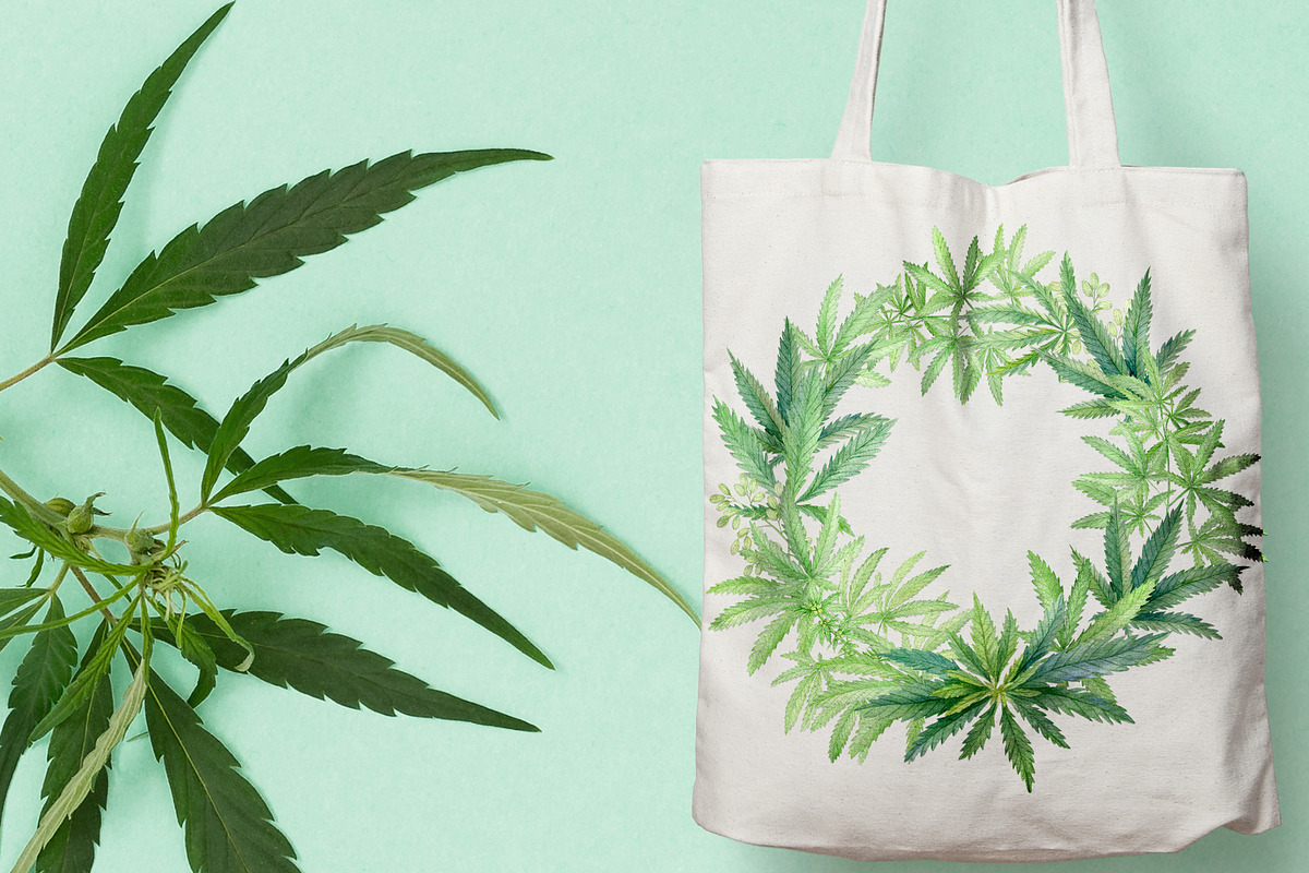 Cannabis watercolor set, an Illustration by svetodesign (Photo 3 of 8)