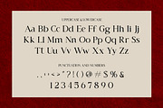 Beagio Modern Elegant Serif Font, a Serif Font by Vadovastd (Thumbnail 2 of 8)