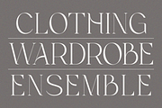 Brikelia Minimalist Fashionable Font, a Serif Font by roomspace creative lab (Thumbnail 7 of 12)