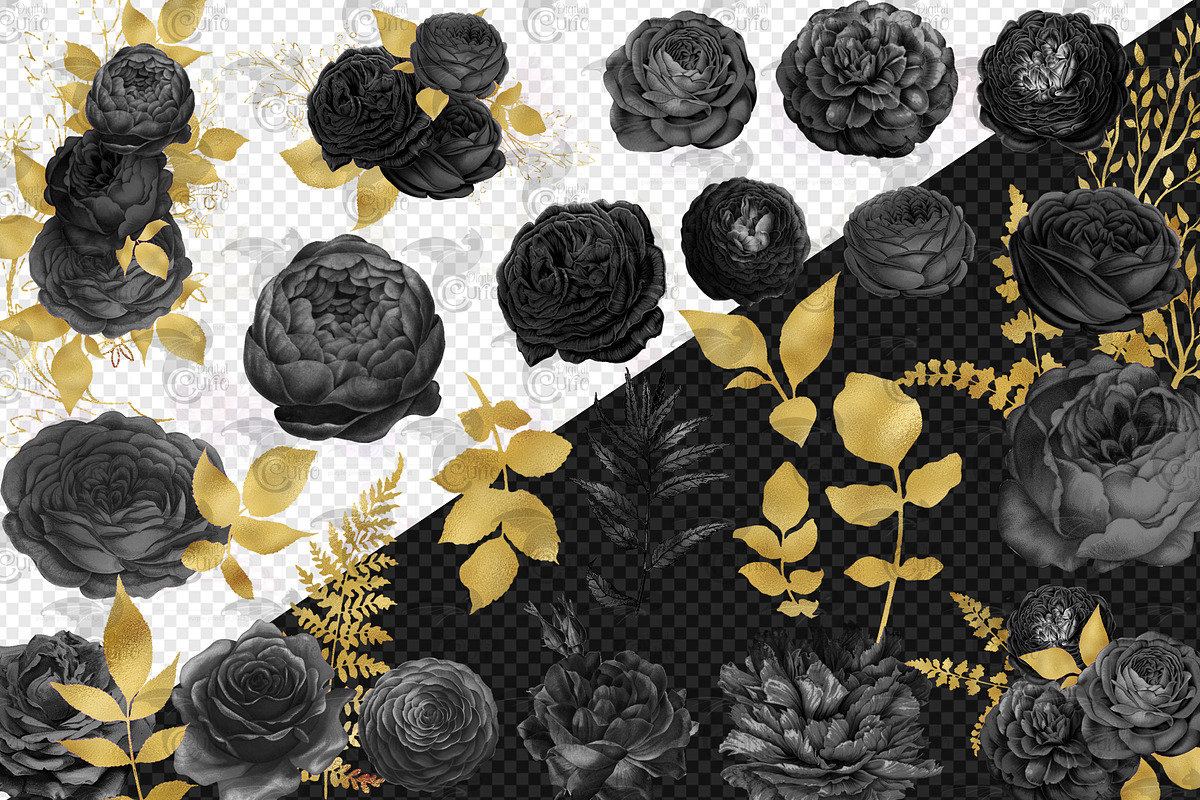 Black and Gold Floral Elements, an Illustration by Digital Curio (Photo 3 of 3)