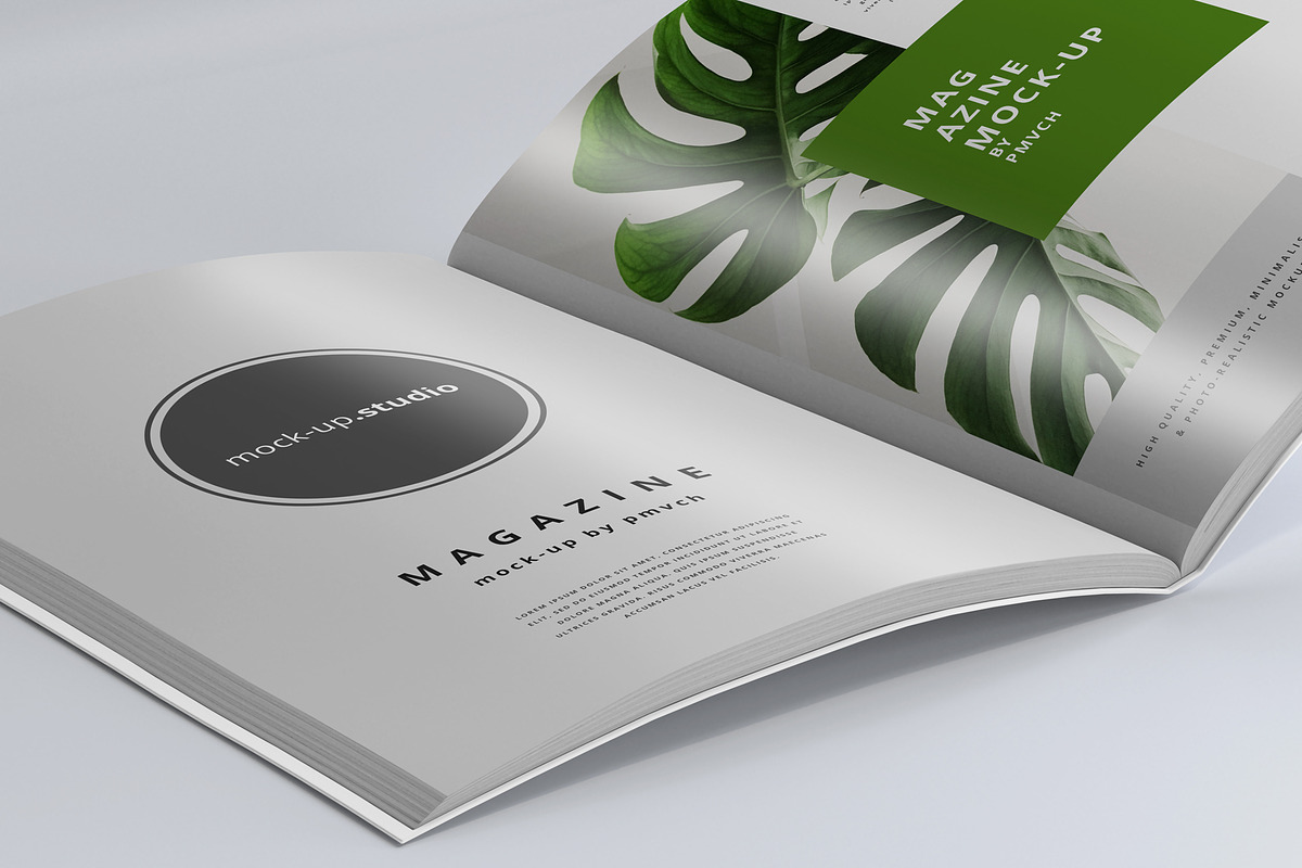Magazine Mock-ups, a Print Template by pmvch (Photo 6 of 17)