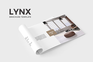 Lynx Brochure Template