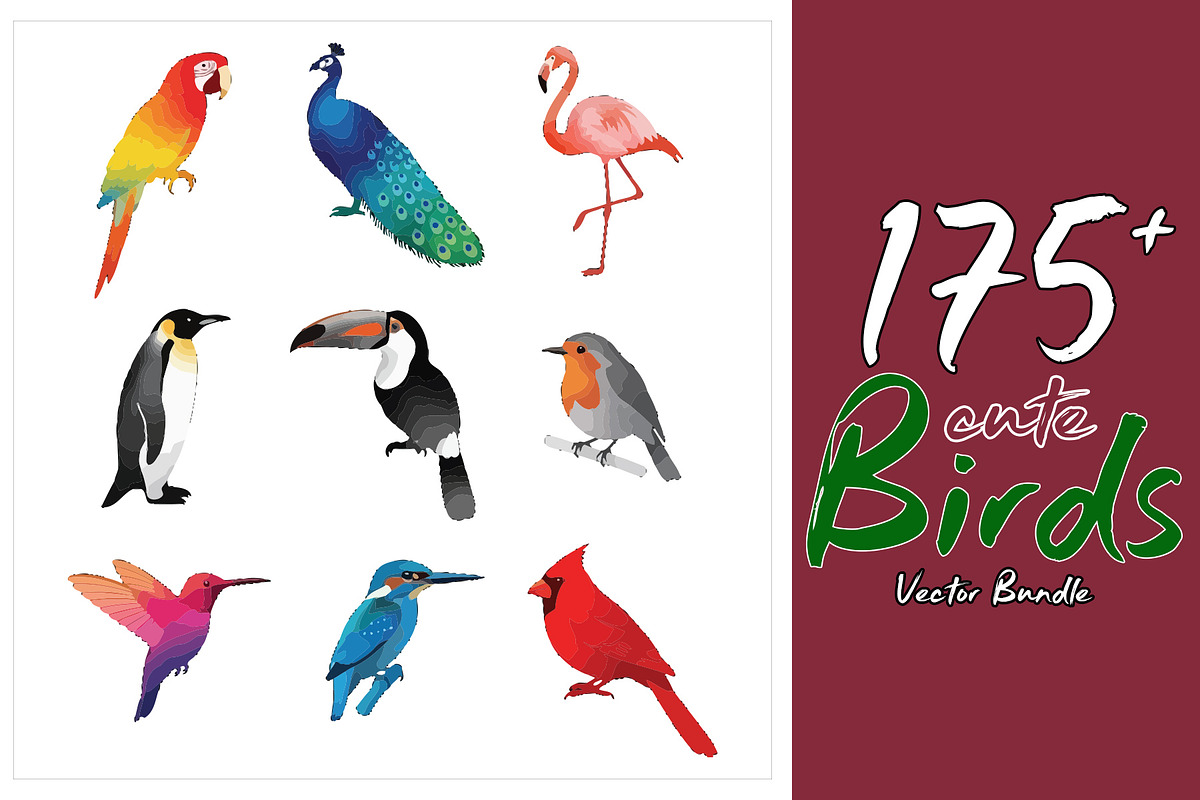 175 Vibrant Bird EPS Bundle, an Object Illustration by Sofia's Fashion (Photo 1 of 3)