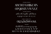 Belvind Modern Elegant Serif Font, a Serif Font by Alfinart (Thumbnail 11 of 11)