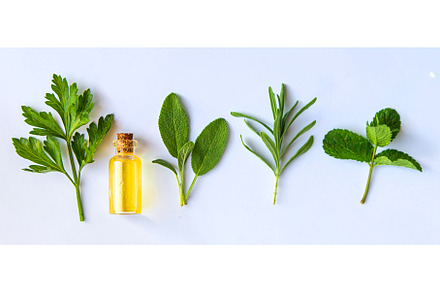 Medicinal herbal extract in a bottle, a Nature Photo by yanadjana