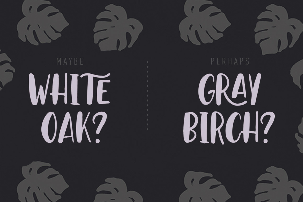 Leaves and Ground - SALE - 60% OFF, a Script Font by StereoType (Photo 9 of 10)