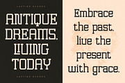 Lastime Echoes Display Slab Serif, a Serif Font by Letterena Studios (Thumbnail 7 of 15)