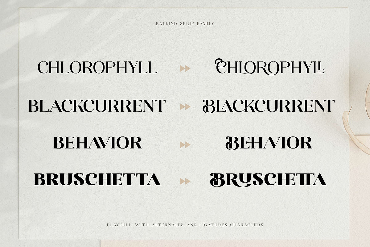 Balkind - Modern Beauty Serif Font, a Serif Font by Ekahermawan (Photo 15 of 25)