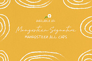 Mangosteen | Font Duo, a Script Font by Scratch Design (Thumbnail 8 of 13)
