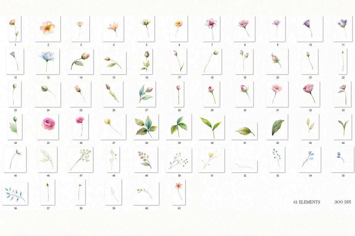 Spring Floral Nature Watercolor Set, a Decorative Illustration by NatalieArtsDenysenko (Photo 5 of 11)